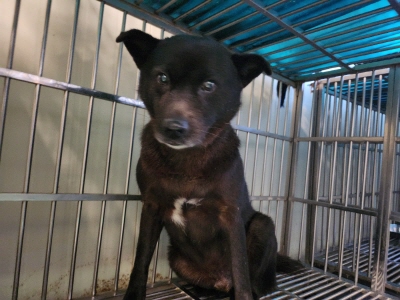 사단법인 동부_426340202400520